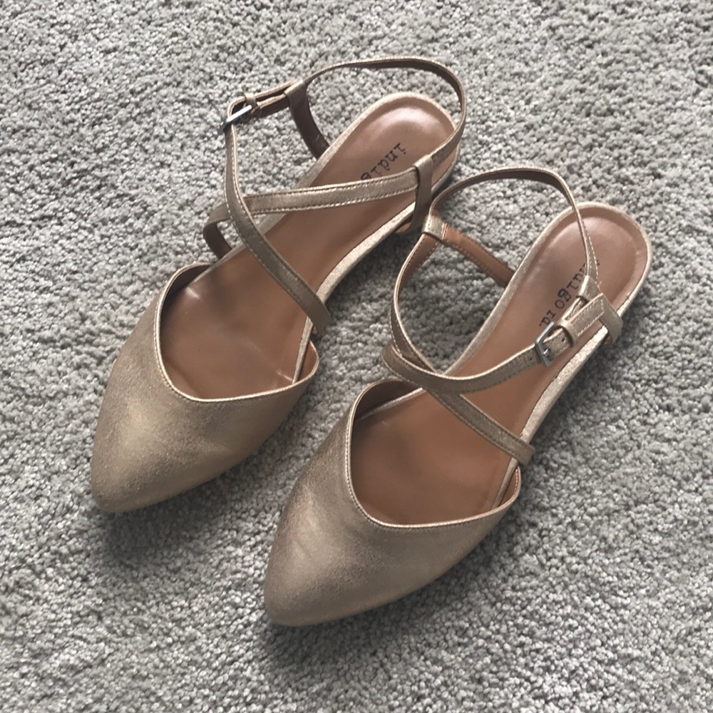Indigo Flats
